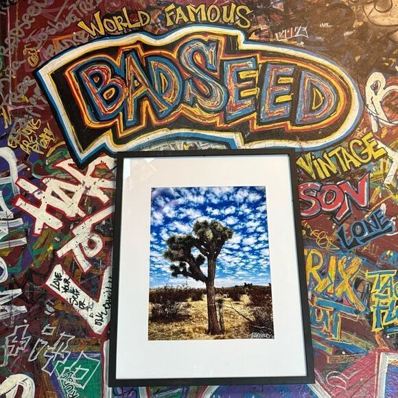 Framed Joshua Tree Landscape Photograph - Taken by Badseed Vintage 2024 - Picture 1 of 9